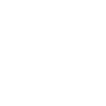 logo-triad